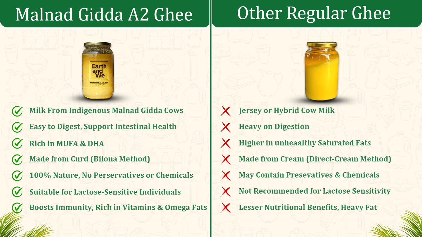 Malnad Gidda A2 Cow Ghee
